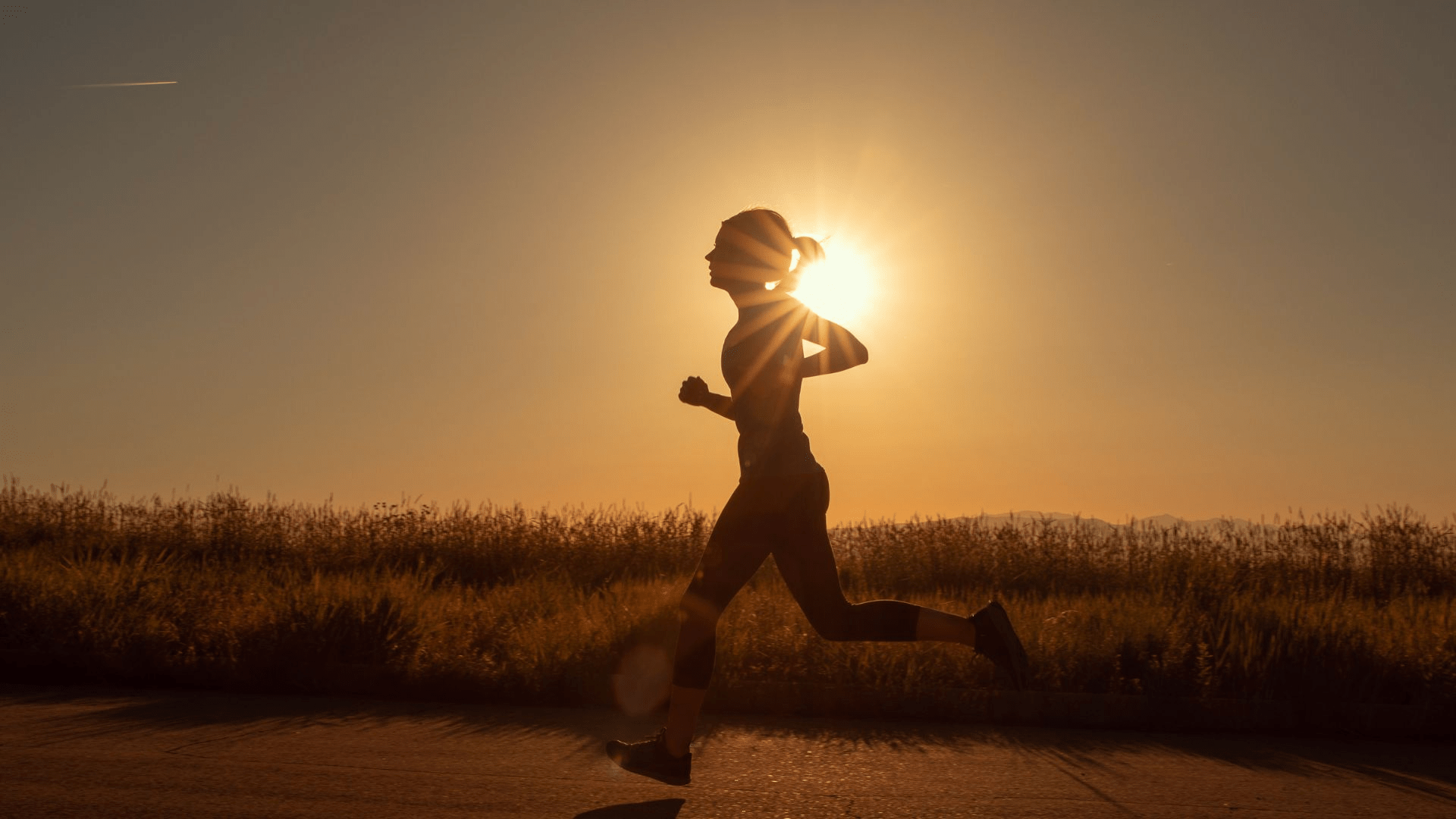 Welcome to PRO Compression - PRO Compression