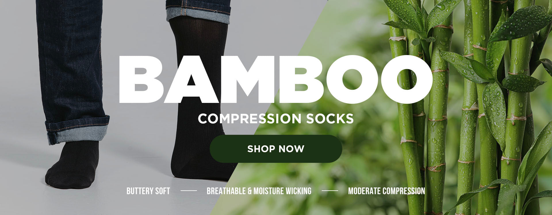 Bamboo_-_Desktop_banner.jpg