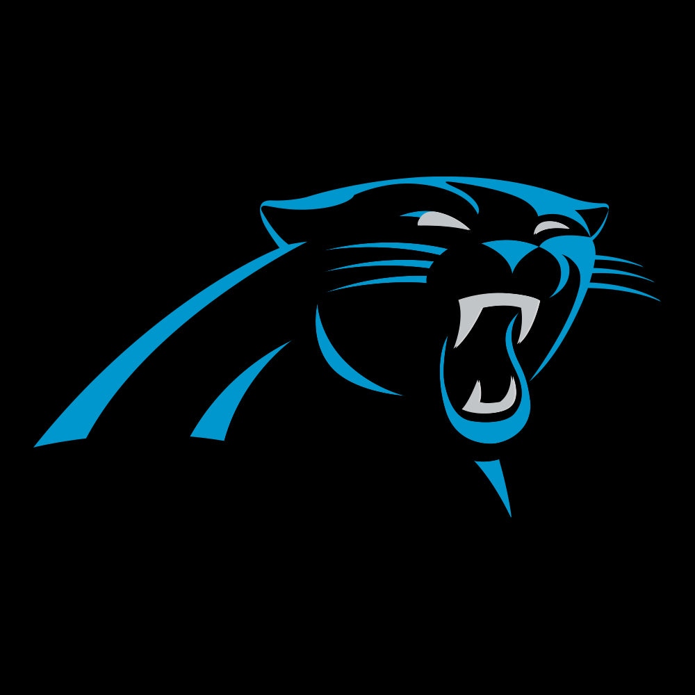 Carolina Panthers Dress on  , $35.00  Carolina panthers, Carolina  panthers football, Clothes