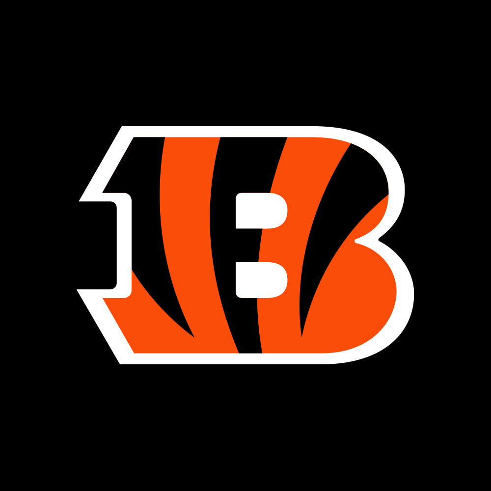 Cincinnati Bengals 101: My First Team-Board-Book (101: My First Team-board-books):  Brad M. Epstein: 9781607301066: : Books